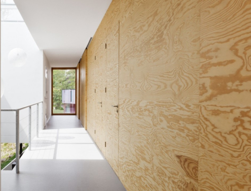 Նրբատախտակ՝ նախատեսված պատի համար